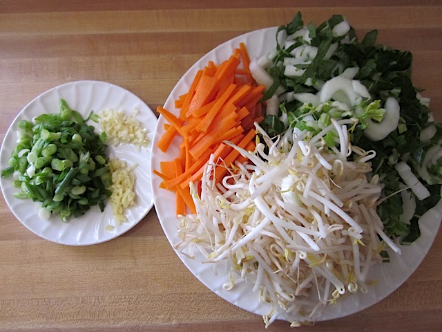 chopped vegetables (green onion, garlic, ginger, bok choy, carrot and bean sprouts) on plate