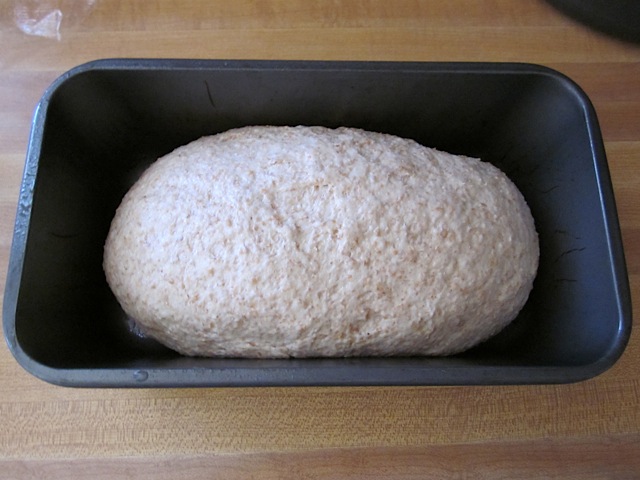 shape dough in pan 