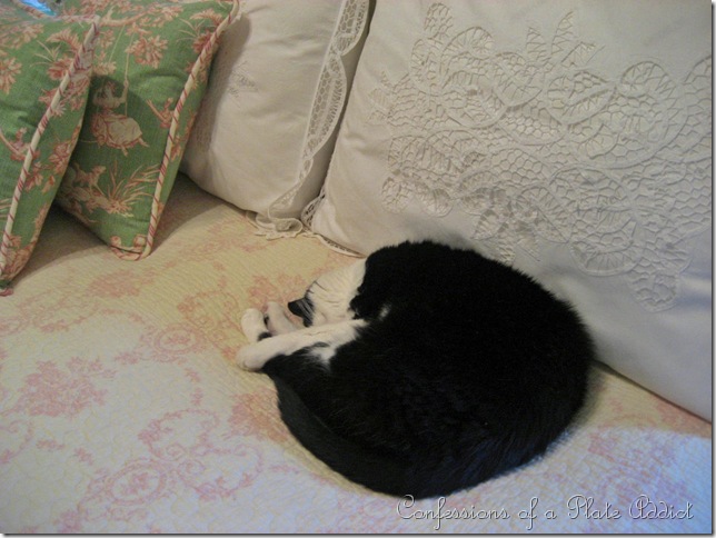 IMG_3087 IMG_3087