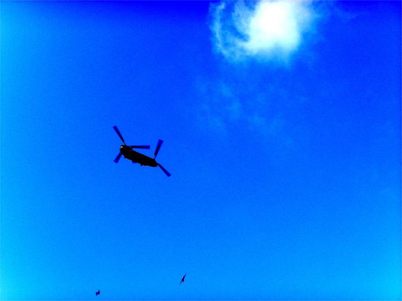 Allotment Heaven How to make a rat proof chicken feeder