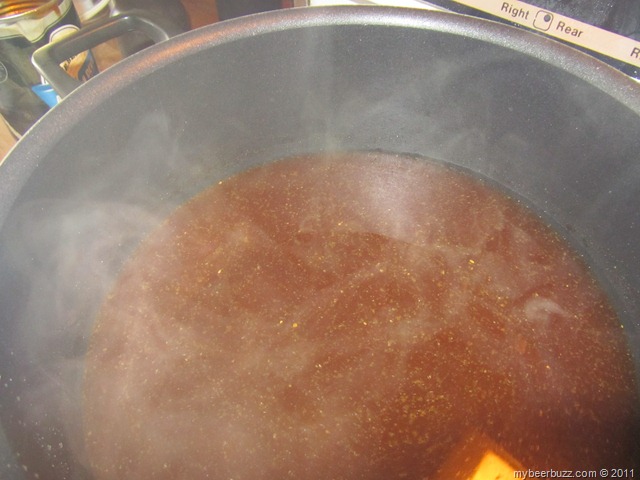 [MrBeerBrewDayOne 014[6].jpg]