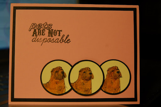 picasa short sayings