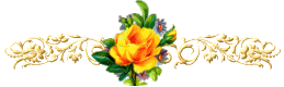 vanda1.gif