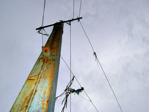 Sem energia elétrica na comunidade, postes improvisados se proliferam para levar luz ao Sítio Joaninha.  Foto: Flaviana Serafim 
