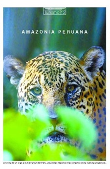 [amazonia_peruana[3].jpg]