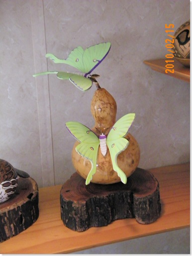 luna moth made from gourd