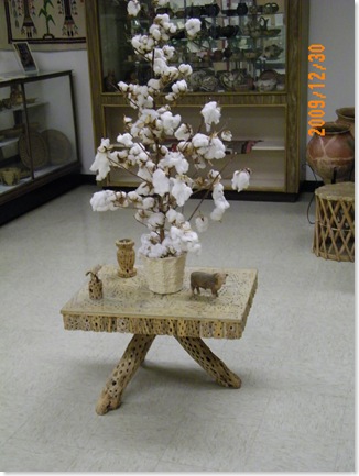 table made of cholla cactus