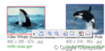 [Orca Browser - Context toolbar[2].png]