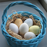 eggs in basket