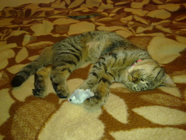 20101127051.jpg