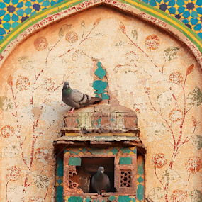 Mughal Era by Sheraz Mushtaq - Buildings & Architecture Public & Historical
