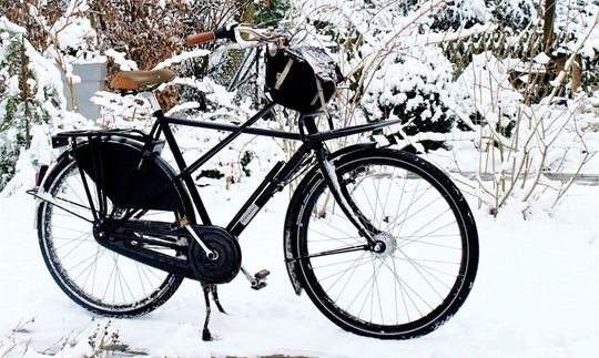 Dutch Winter Bike