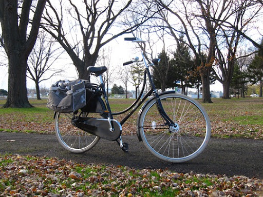 what is a dutch bike