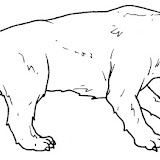 smilodon.jpg