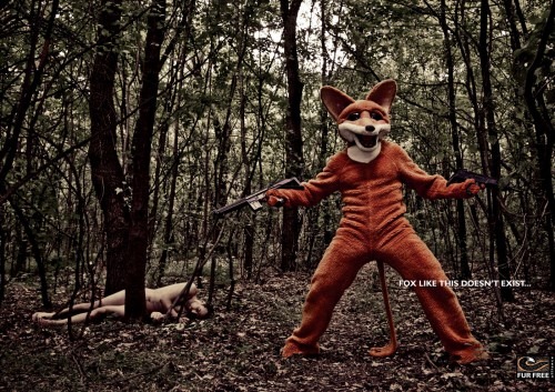 [furfreeexist-500x353[4].jpg]