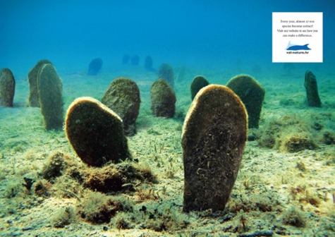 underwater-grave_0-500x355