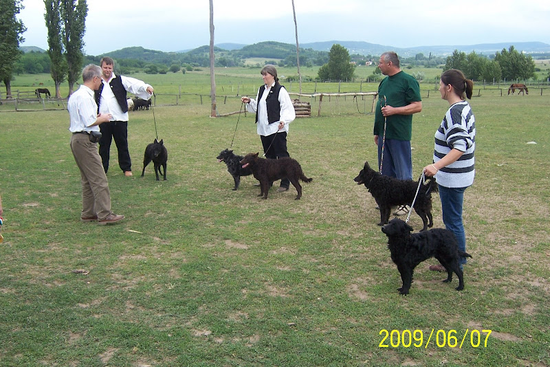 2009.06.07%20Salf%C3%B6ld%20034.jpg