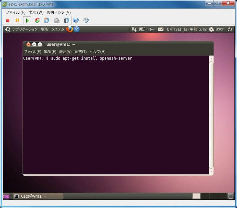 Ubuntu 10.04(32-bit) へ ssh 接続を有効にする / Ubuntu10.04(32-bit): “HP ML115  G5”と自作機で、できたこと