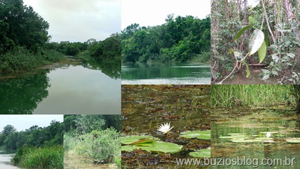 Rio Velho Rio Velho