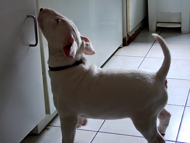 DSCF2984.JPG