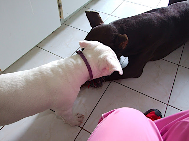 DSCF2986.JPG