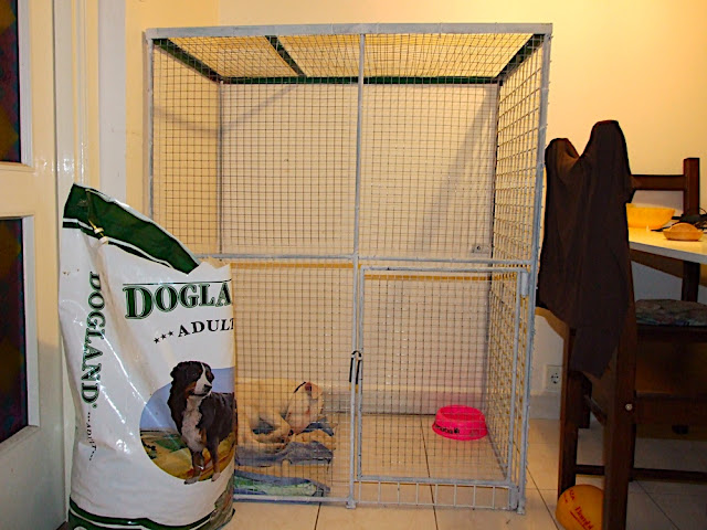 DSCF3064.JPG