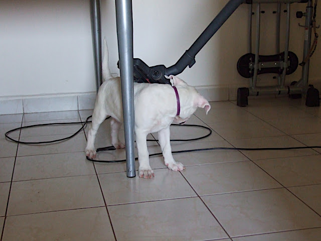 DSCF3037.JPG