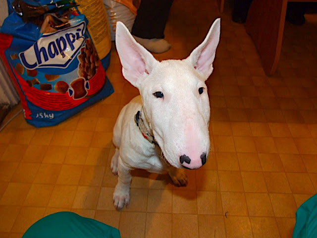 DSCF3129.JPG