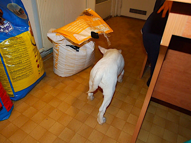 DSCF3130.JPG