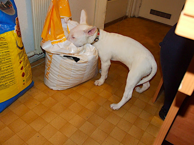 DSCF3141.JPG