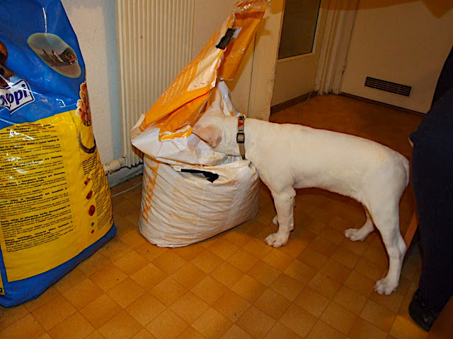 DSCF3147.JPG