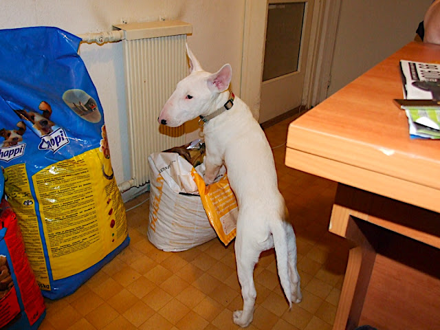 DSCF3149.JPG