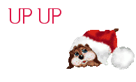 signature_2.png