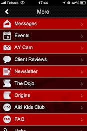 Aikido Yoshinkai poster 9