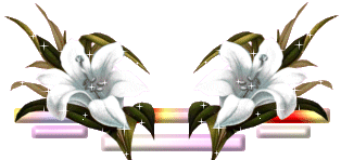 Barrinhas1BG1XXc.png