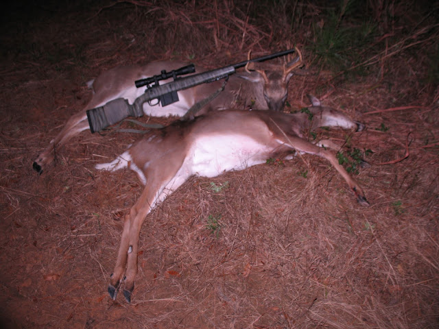 2deerground.JPG