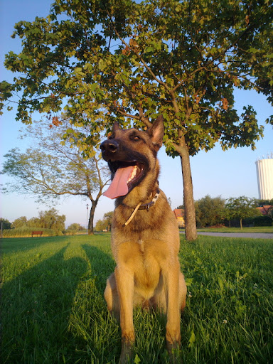 20100804455.jpg