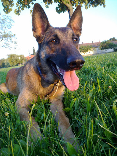 20100804463.jpg