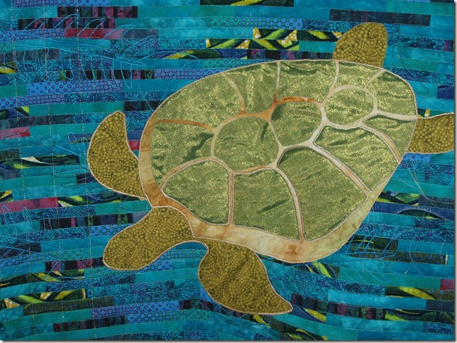 turtle detail