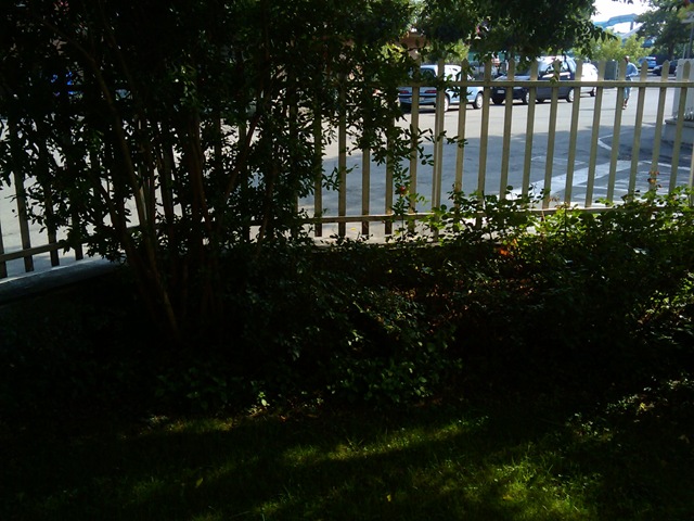 [2009-07-15 16.54.55[2].jpg]