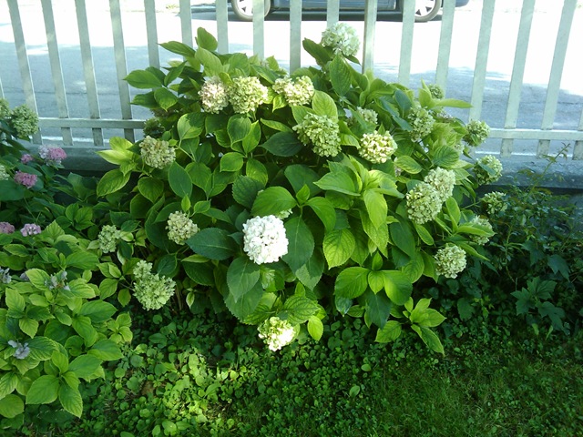 [2009-07-15 16.55.25[2].jpg]