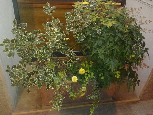 [10072009007[2].jpg]