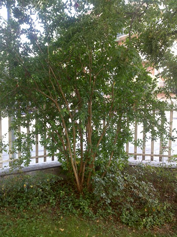 [13092009017[2].jpg]