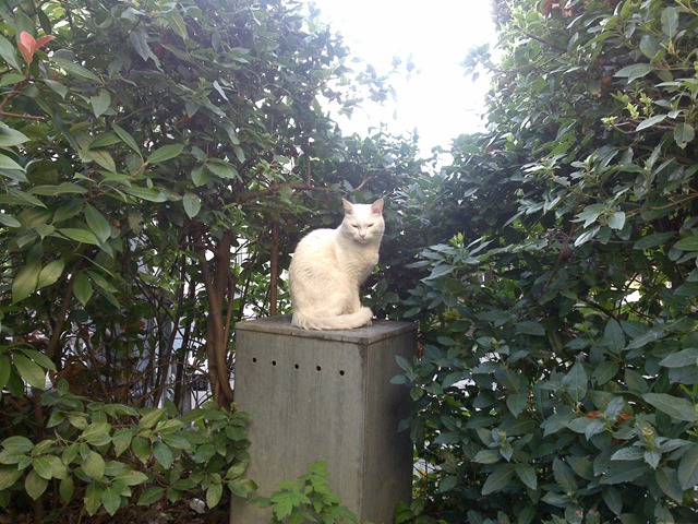 [13092009018[2].jpg]