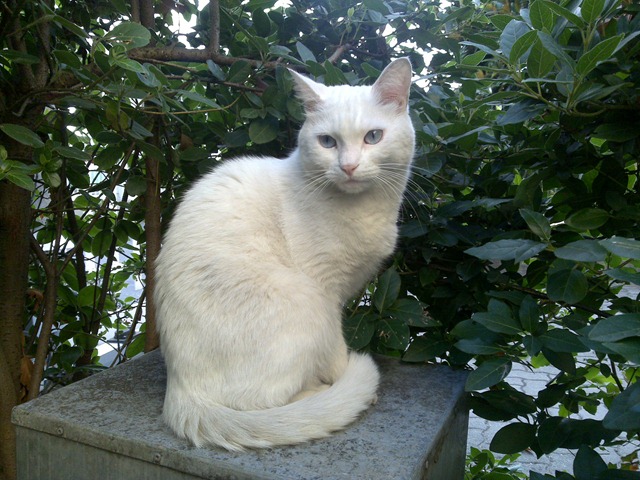 [13092009019[2].jpg]