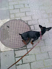 Image0056.jpg