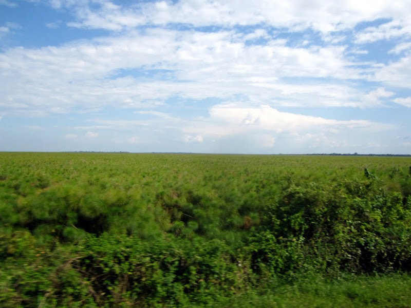 IMG_2756.jpg