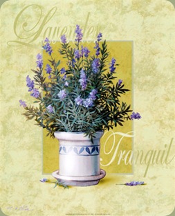t-chiu-lavender