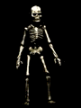 [esqueletos (7)[2].gif]