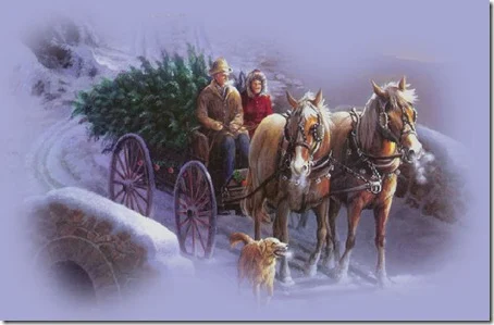 paisajes nevadors (19)